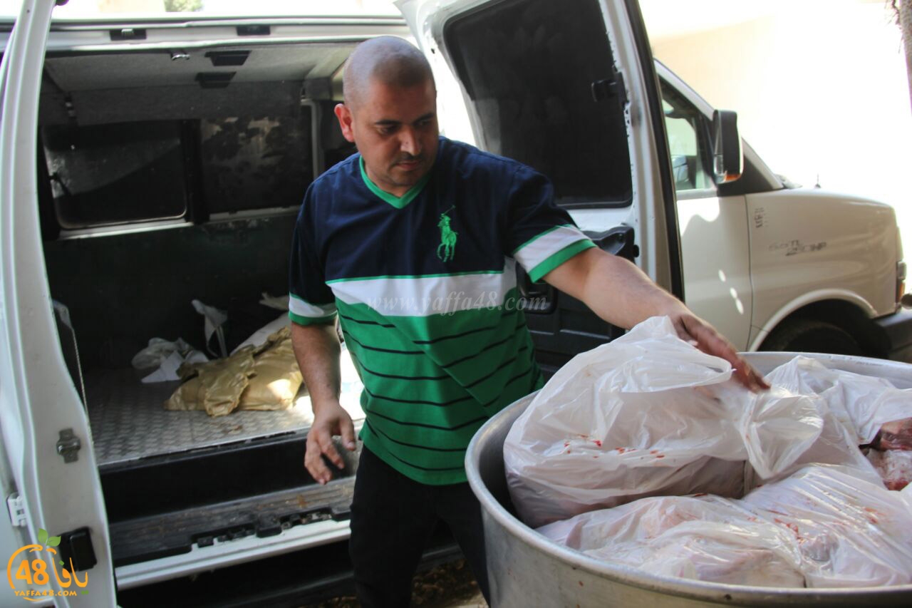 torody second marl7ala (12).jpg